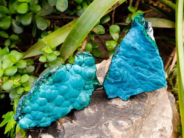 Natural Malachite Malacolla Botryoidal Chrysocolla Specimens x 5 From Kulukuluku, Congo - Toprock Gemstones and Minerals 