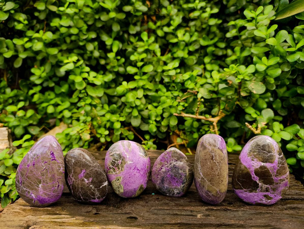 Polished Stichtite Free Forms x 6 From Barberton, South Africa - Toprock Gemstones and Minerals 
