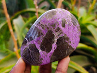 Polished Stichtite Free Forms x 6 From Barberton, South Africa - Toprock Gemstones and Minerals 
