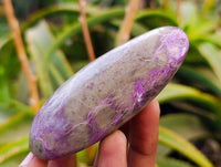 Polished Stichtite Free Forms x 6 From Barberton, South Africa - Toprock Gemstones and Minerals 
