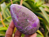 Polished Stichtite Free Forms x 6 From Barberton, South Africa - Toprock Gemstones and Minerals 