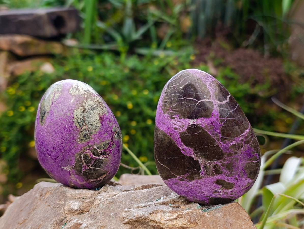 Polished Stichtite Free Forms x 6 From Barberton, South Africa - Toprock Gemstones and Minerals 