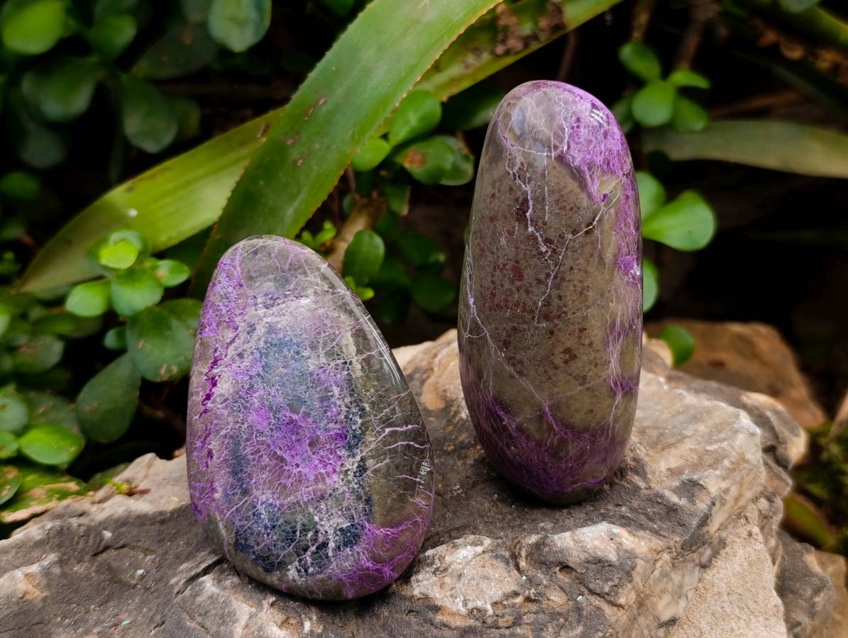 Polished Stichtite Free Forms x 6 From Barberton, South Africa - Toprock Gemstones and Minerals 