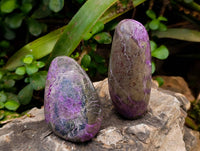 Polished Stichtite Free Forms x 6 From Barberton, South Africa - Toprock Gemstones and Minerals 