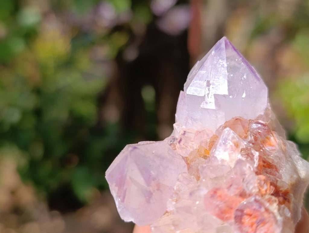 Natural Amethyst Spirit Quartz Clusters x 12 From Boekenhouthoek, South Africa - Toprock Gemstones and Minerals 