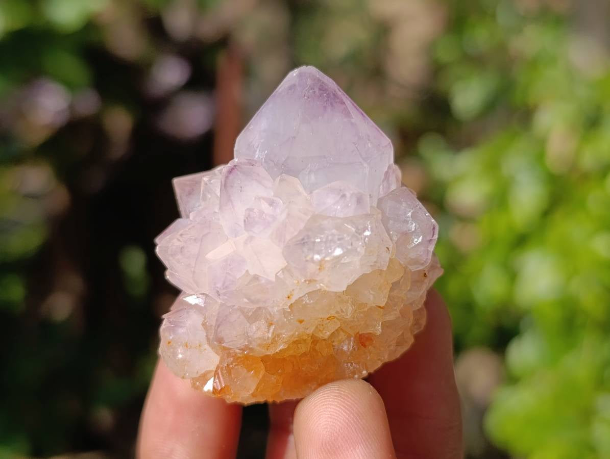 Natural Amethyst Spirit Quartz Clusters x 12 From Boekenhouthoek, South Africa - Toprock Gemstones and Minerals 