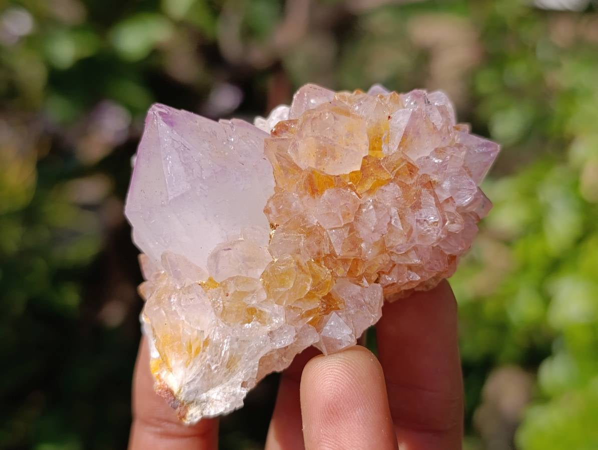 Natural Amethyst Spirit Quartz Clusters x 12 From Boekenhouthoek, South Africa - Toprock Gemstones and Minerals 