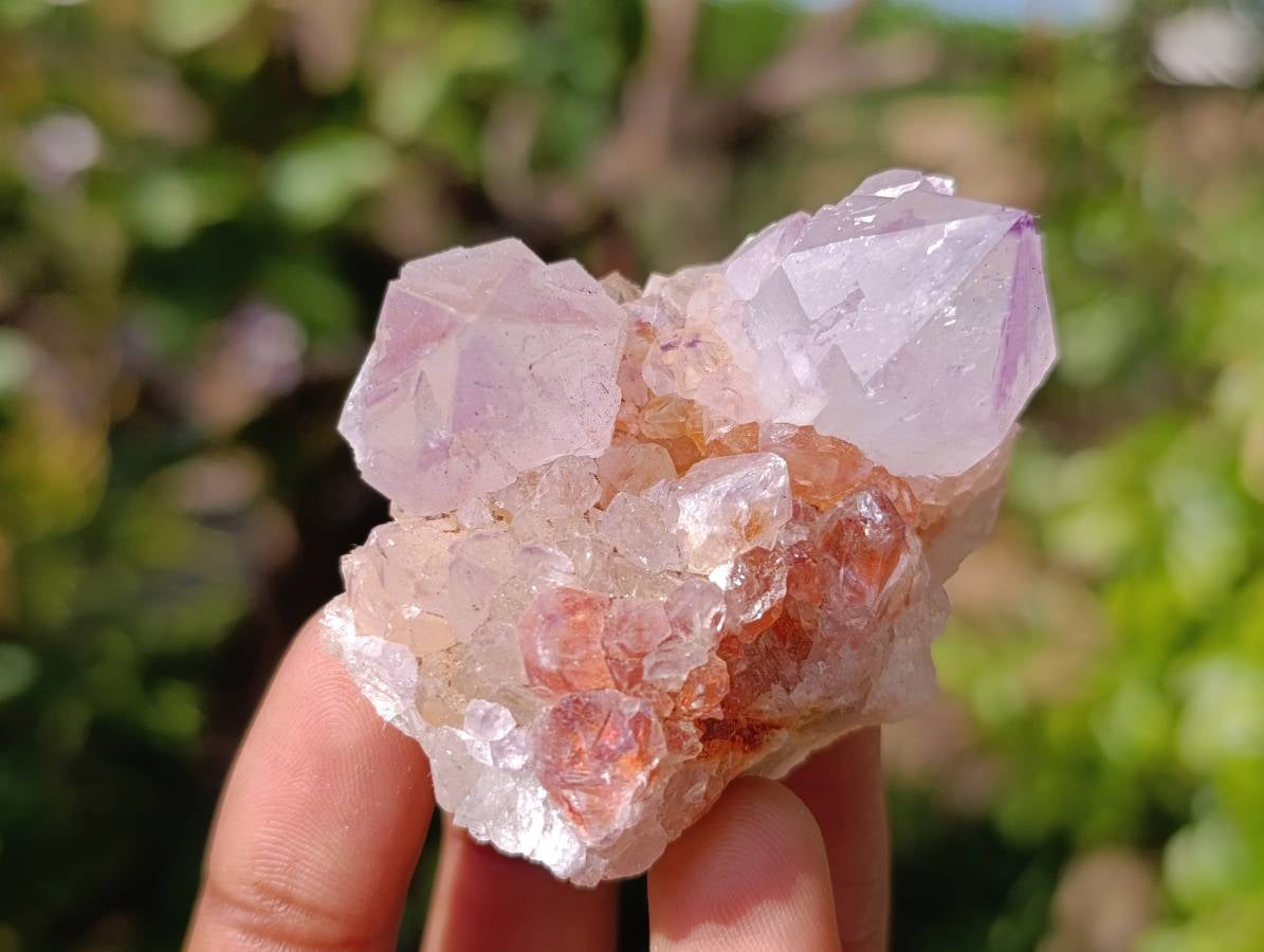 Natural Amethyst Spirit Quartz Clusters x 12 From Boekenhouthoek, South Africa - Toprock Gemstones and Minerals 