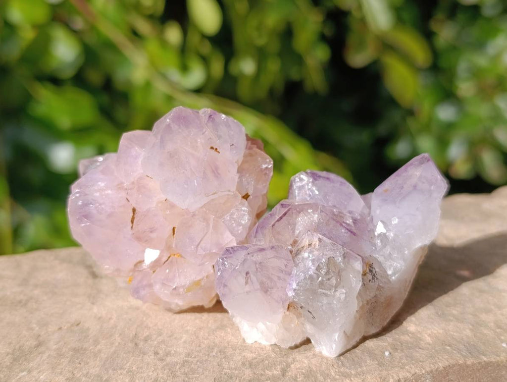 Natural Amethyst Spirit Quartz Clusters x 12 From Boekenhouthoek, South Africa - Toprock Gemstones and Minerals 