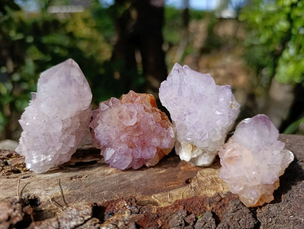 Natural Amethyst Spirit Quartz Clusters x 12 From Boekenhouthoek, South Africa - Toprock Gemstones and Minerals 