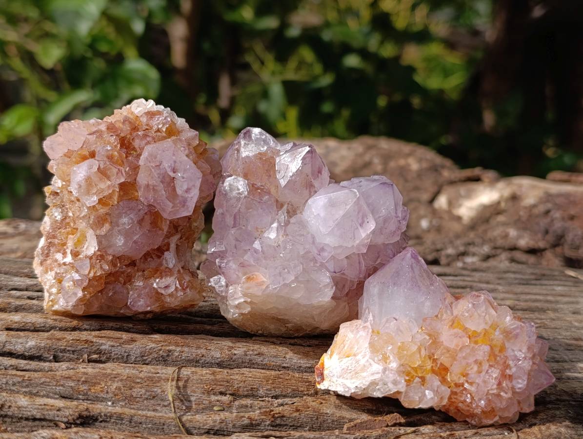 Natural Amethyst Spirit Quartz Clusters x 12 From Boekenhouthoek, South Africa - Toprock Gemstones and Minerals 
