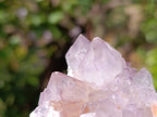 Natural Amethyst Spirit Quartz Clusters x 12 From Boekenhouthoek, South Africa - Toprock Gemstones and Minerals 