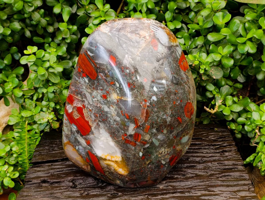 Polished XL Bloodstone Standing Free From x 1 From Swaziland - Toprock Gemstones and Minerals 