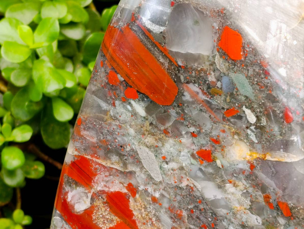 Polished XL Bloodstone Standing Free From x 1 From Swaziland - Toprock Gemstones and Minerals 