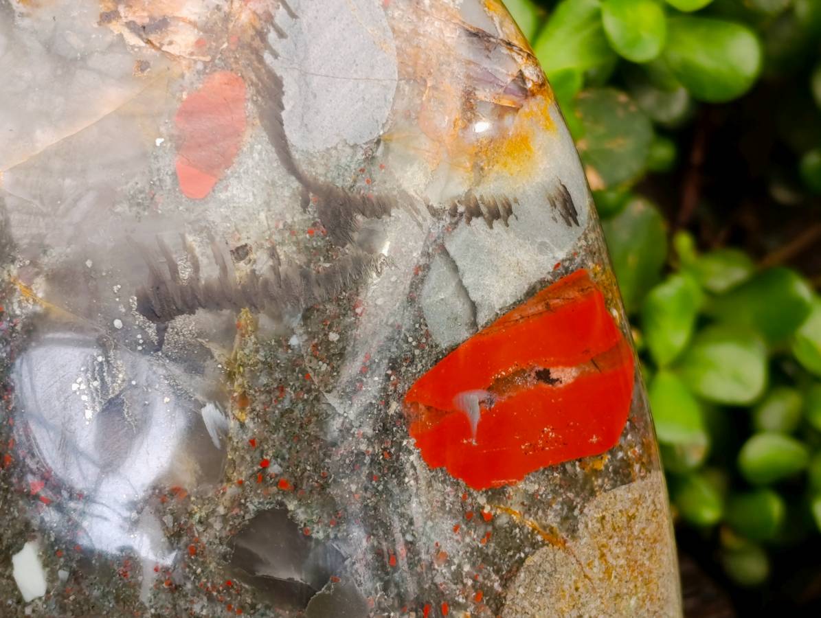 Polished XL Bloodstone Standing Free From x 1 From Swaziland - Toprock Gemstones and Minerals 