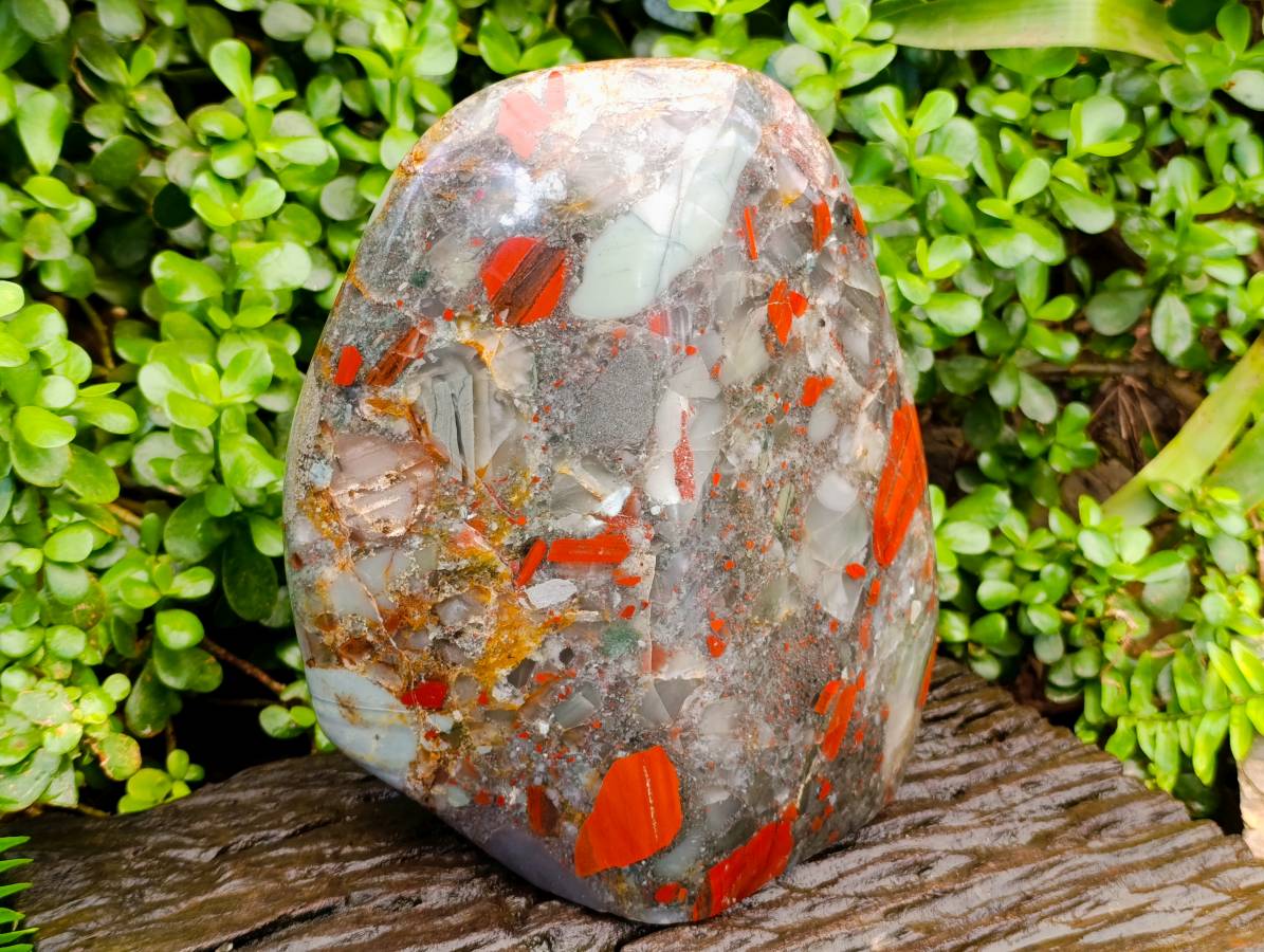 Polished XL Bloodstone Standing Free From x 1 From Swaziland - Toprock Gemstones and Minerals 