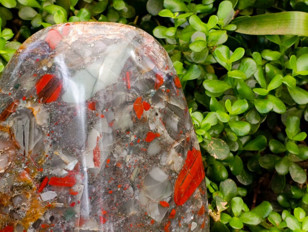 Polished XL Bloodstone Standing Free From x 1 From Swaziland - Toprock Gemstones and Minerals 