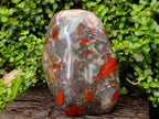 Polished XL Bloodstone Standing Free From x 1 From Swaziland - Toprock Gemstones and Minerals 