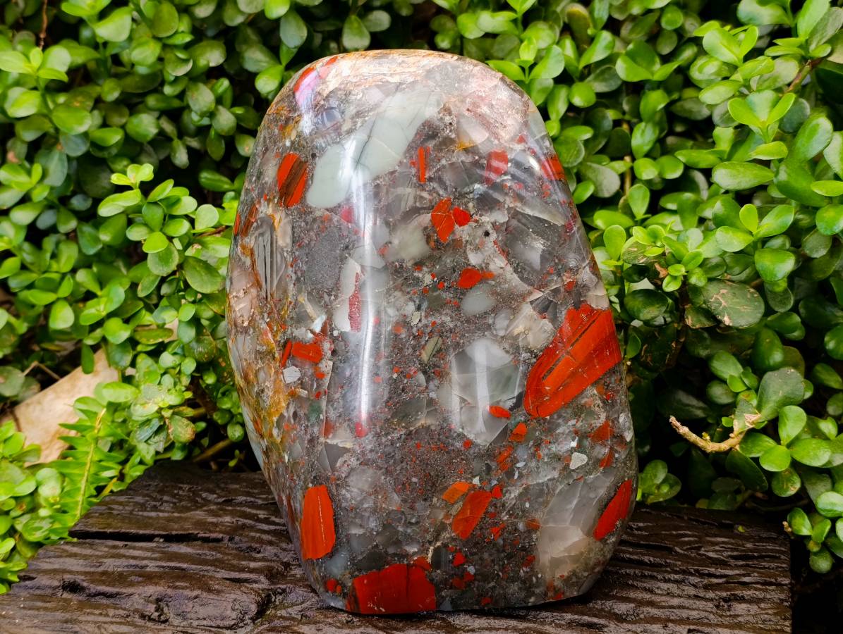 Polished XL Bloodstone Standing Free From x 1 From Swaziland - Toprock Gemstones and Minerals 