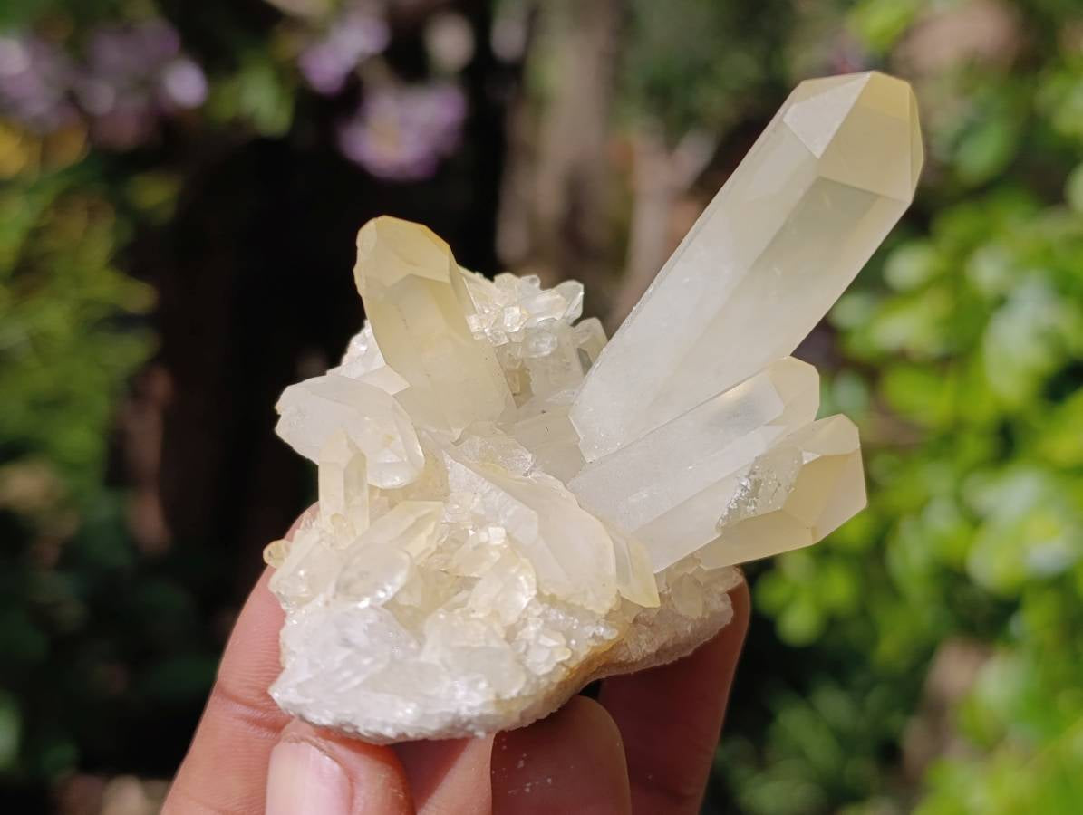 Natural Quartz Clusters x 24 From Madagascar - Toprock Gemstones and Minerals 