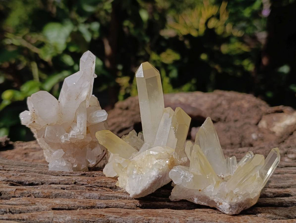 Natural Quartz Clusters x 24 From Madagascar - Toprock Gemstones and Minerals 