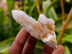 Natural Fairy Spirit Quartz Clusters x 20 From Boekenhouthoek, South Africa - Toprock Gemstones and Minerals 