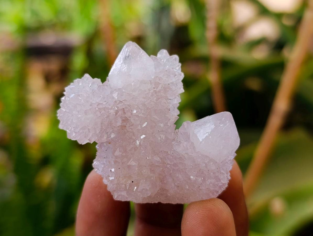 Natural Fairy Spirit Quartz Clusters x 20 From Boekenhouthoek, South Africa - Toprock Gemstones and Minerals 