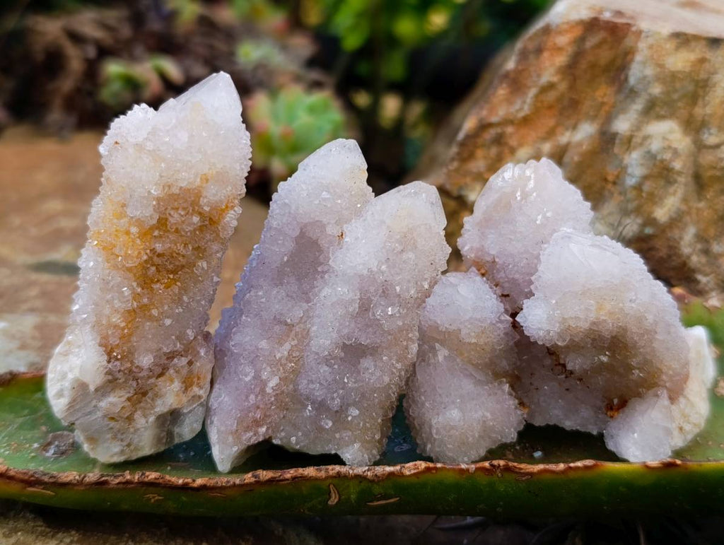 Natural Fairy Spirit Quartz Clusters x 20 From Boekenhouthoek, South Africa - Toprock Gemstones and Minerals 