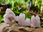 Natural Fairy Spirit Quartz Clusters x 20 From Boekenhouthoek, South Africa - Toprock Gemstones and Minerals 