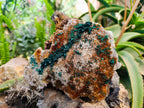 Natural Crystalline Ball Malachite and Drusy Quartz On Dolomite Matrix Specimen x 1 From Kambove, Congo - Toprock Gemstones and Minerals 