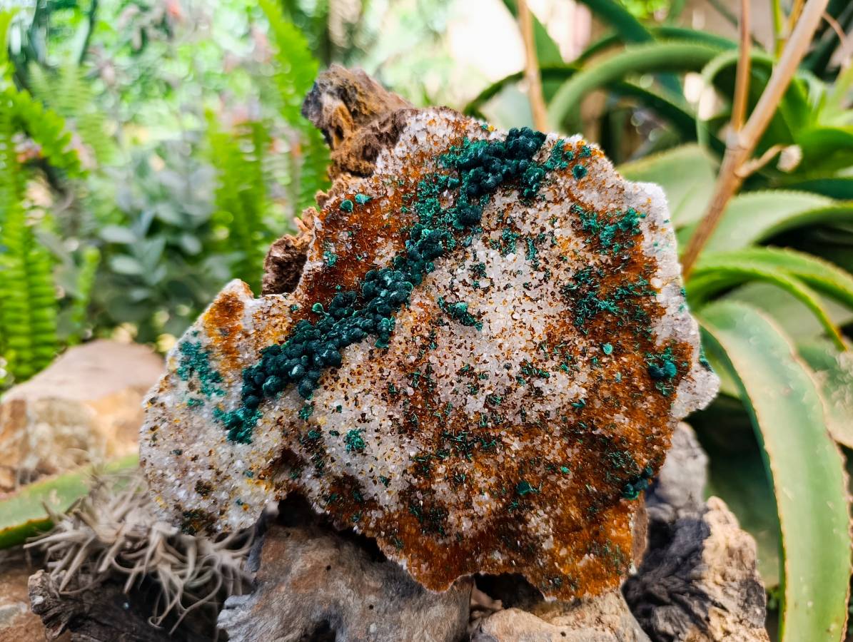 Natural Crystalline Ball Malachite and Drusy Quartz On Dolomite Matrix Specimen x 1 From Kambove, Congo - Toprock Gemstones and Minerals 