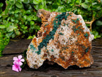 Natural Crystalline Ball Malachite and Drusy Quartz On Dolomite Matrix Specimen x 1 From Kambove, Congo - Toprock Gemstones and Minerals 
