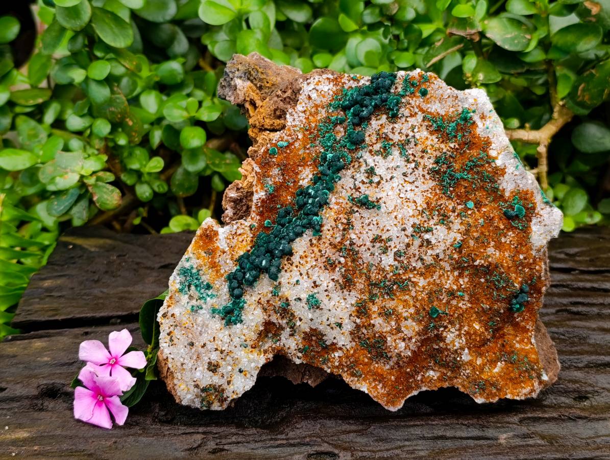 Natural Crystalline Ball Malachite and Drusy Quartz On Dolomite Matrix Specimen x 1 From Kambove, Congo - Toprock Gemstones and Minerals 