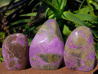 Polished Stichtite Standing Free Forms x 3 From Barberton, South Africa - Toprock Gemstones and Minerals 