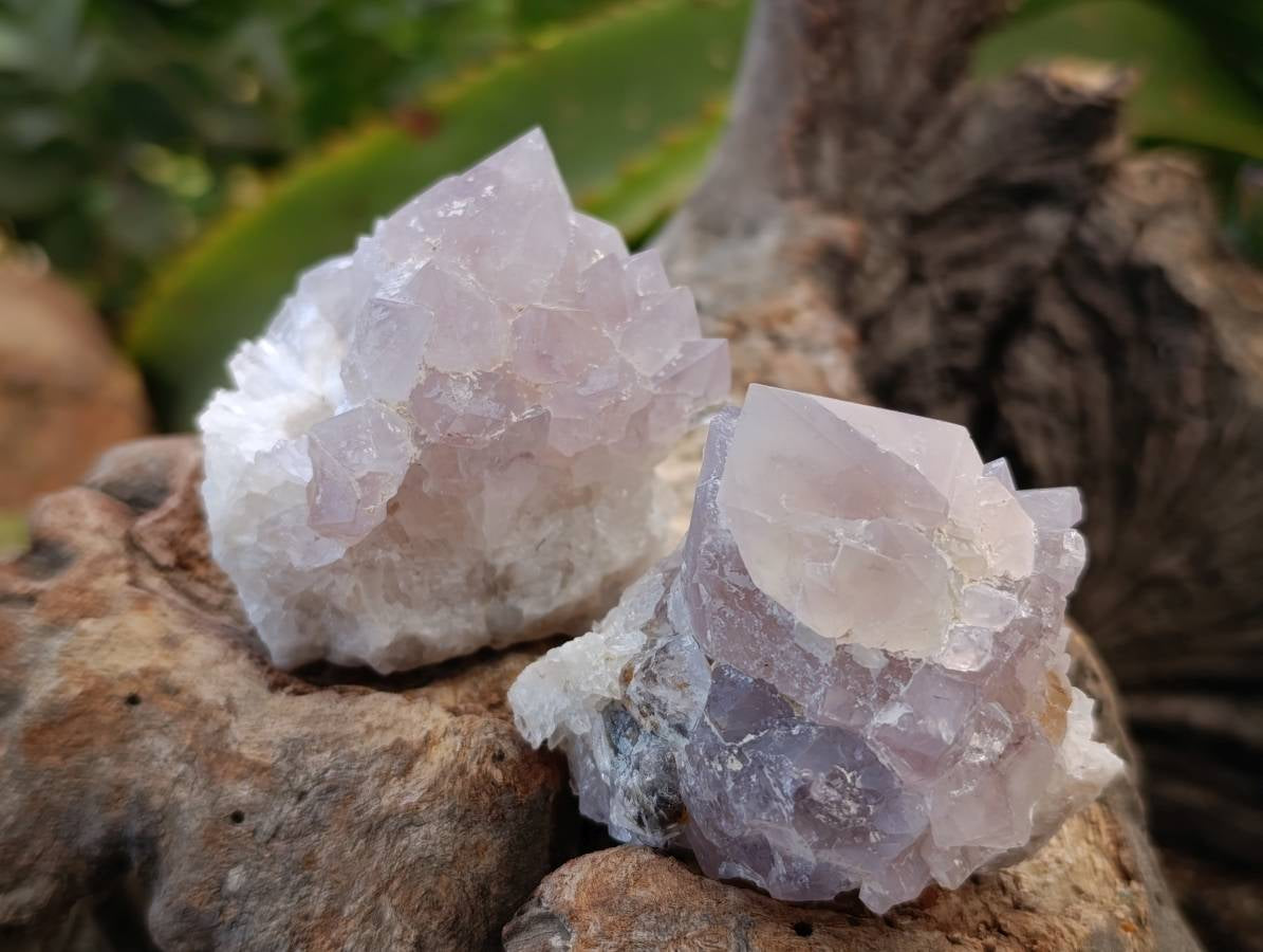 Natural Mixture Of Spirit Quartz Clusters x 12 From Boekenhouthoek, South Africa - Toprock Gemstones and Minerals 