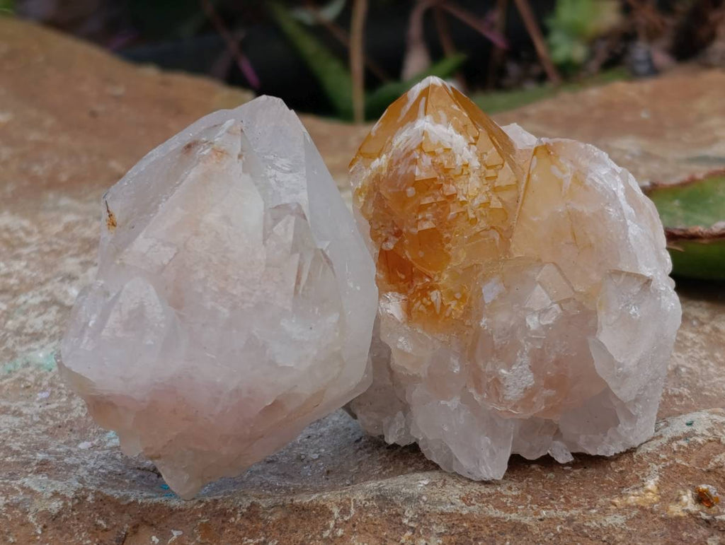 Natural Mixture Of Spirit Quartz Clusters x 12 From Boekenhouthoek, South Africa - Toprock Gemstones and Minerals 