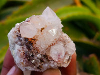 Natural Mixture Of Spirit Quartz Clusters x 12 From Boekenhouthoek, South Africa