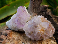 Natural Mixture Of Spirit Quartz Clusters x 12 From Boekenhouthoek, South Africa