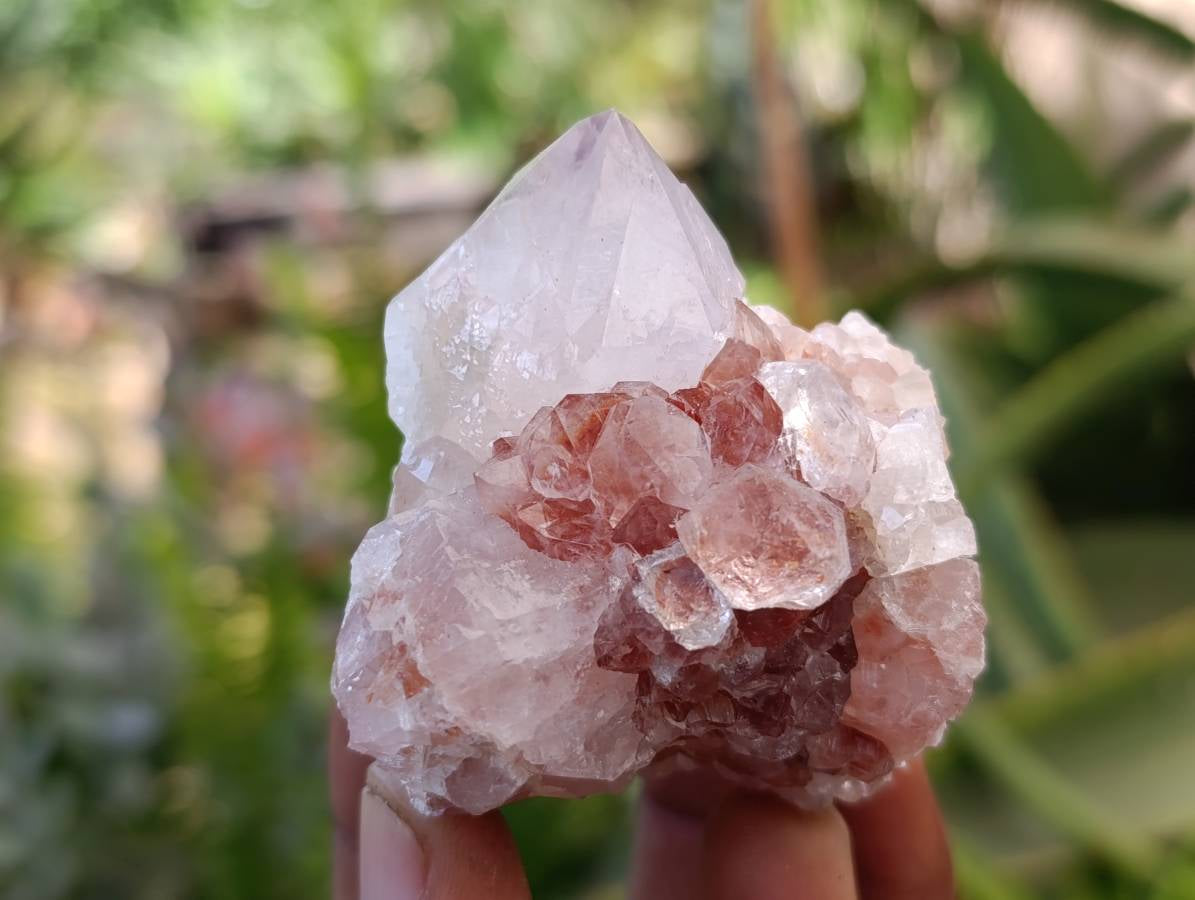 Natural Mixture Of Spirit Quartz Clusters x 12 From Boekenhouthoek, South Africa - Toprock Gemstones and Minerals 