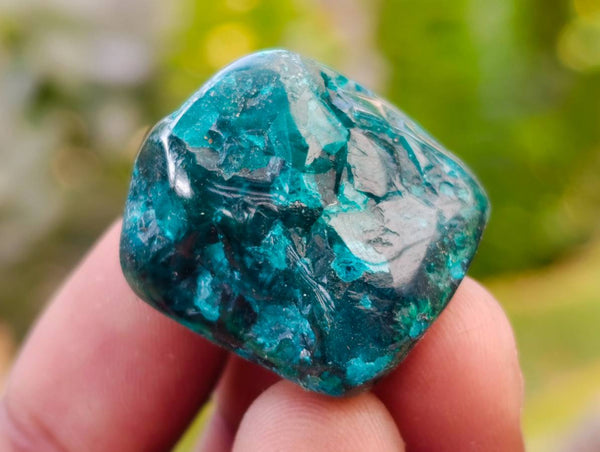 Polished Dioptase Free Forms x 35 From Likasi, Congo - Toprock Gemstones and Minerals 