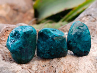 Polished Dioptase Free Forms x 35 From Likasi, Congo - Toprock Gemstones and Minerals 