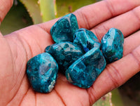 Polished Dioptase Free Forms x 35 From Likasi, Congo - Toprock Gemstones and Minerals 
