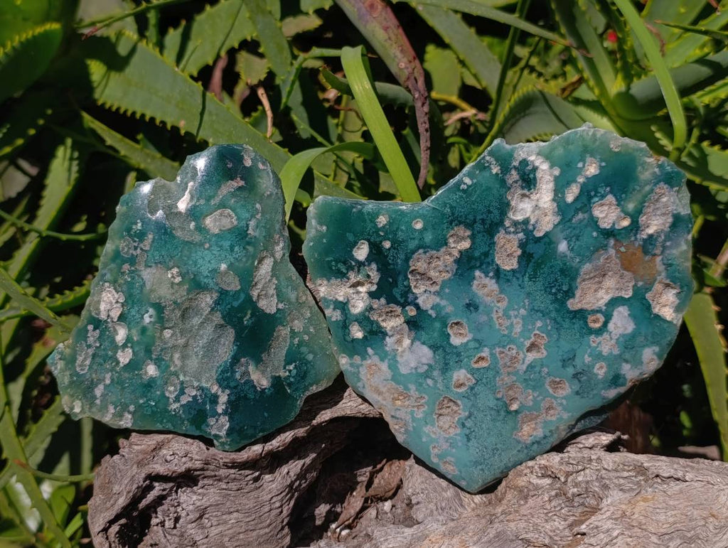 Polished On One Side Mtorolite Plates x 4 From Mutorashanga, Zimbabwe - Toprock Gemstones and Minerals 