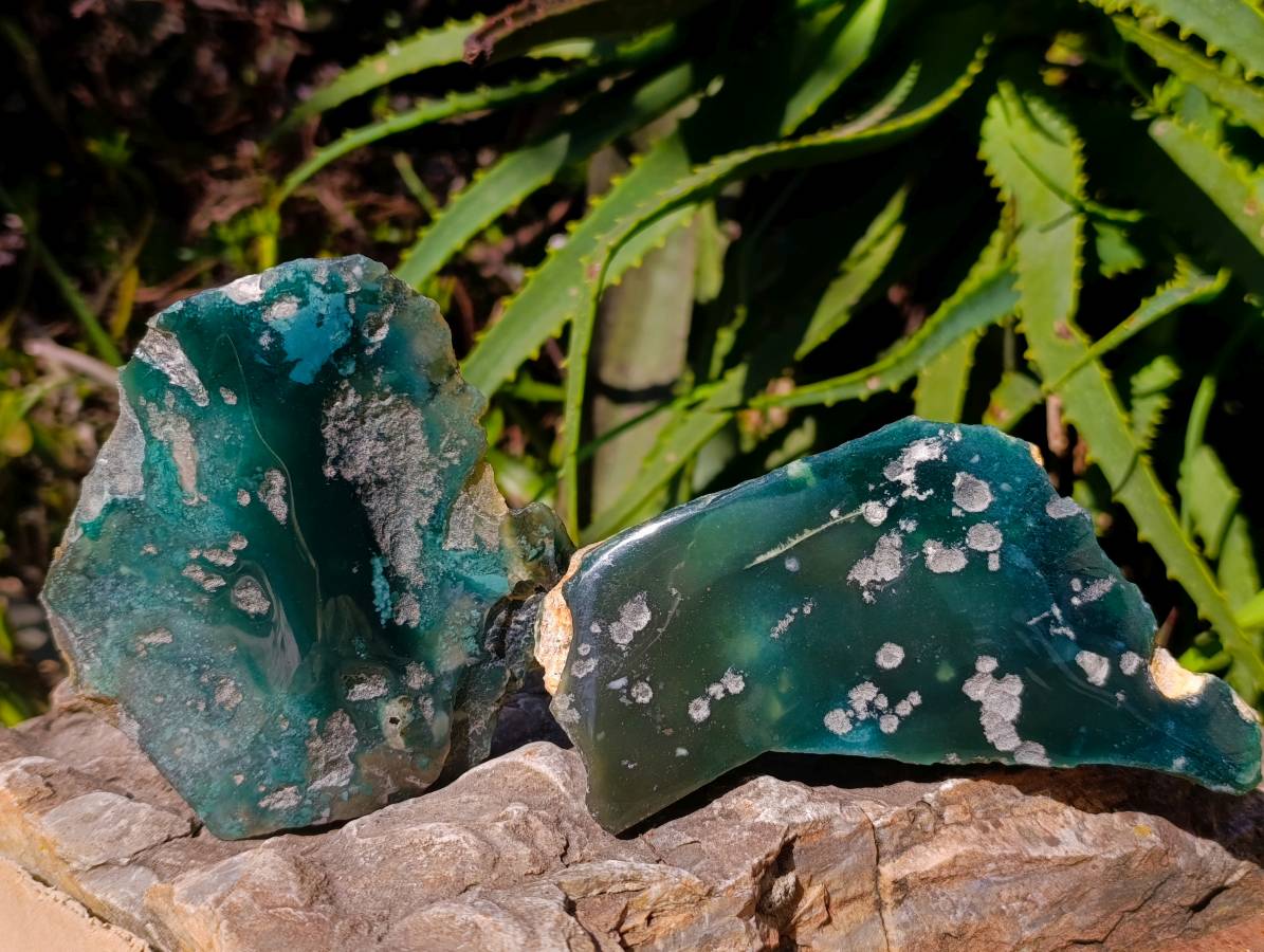 Polished On One Side Mtorolite Plates x 4 From Mutorashanga, Zimbabwe - Toprock Gemstones and Minerals 