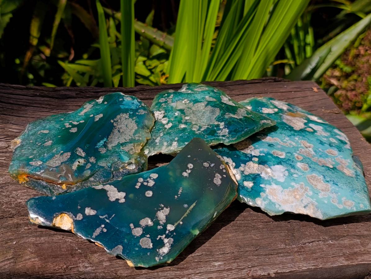 Polished On One Side Mtorolite Plates x 4 From Mutorashanga, Zimbabwe - Toprock Gemstones and Minerals 