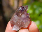 Natural Window Amethyst Crystals x 35 From Chiredzi, Zimbabwe - Toprock Gemstones and Minerals 