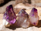 Natural Window Amethyst Crystals x 35 From Chiredzi, Zimbabwe - Toprock Gemstones and Minerals 