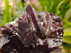Natural Smokey Quartz Crystals x 6 From Mulanje, Malawi - Toprock Gemstones and Minerals 
