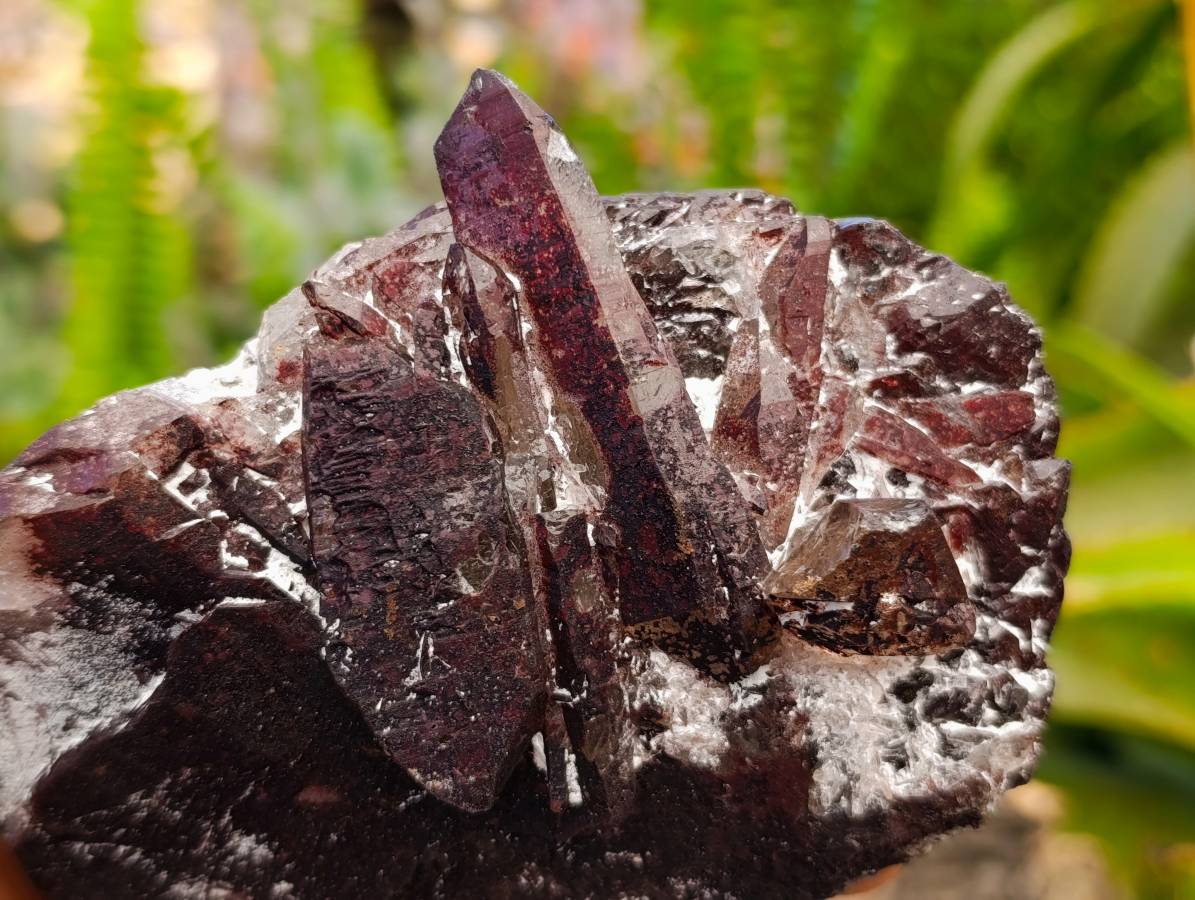 Natural Smokey Quartz Crystals x 6 From Mulanje, Malawi - Toprock Gemstones and Minerals 
