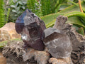 Natural Smokey Quartz Crystals x 6 From Mulanje, Malawi - Toprock Gemstones and Minerals 